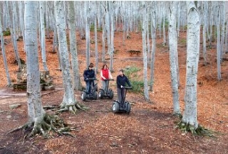 Parque Natural del Moncayo